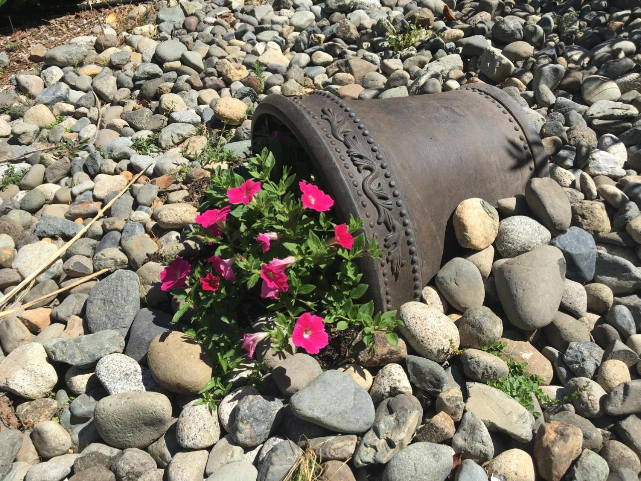 Ashling Cottage Qualicum Beach Eksteriør billede